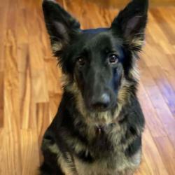 User Profile: Daisy1230