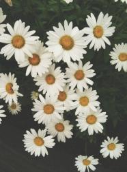 User Profile: lostinthedarkness