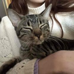 User Profile: niceDime9278