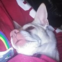 User Profile: KittyCat7787