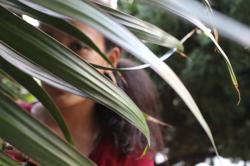 User Profile: rachevendetta