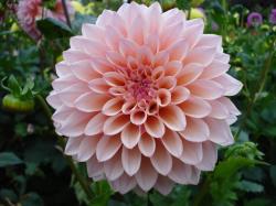 User Profile: discreetSummer9944