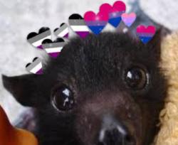 User Profile: AsexualBiromanticFriend