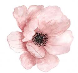 User Profile: thoughtfulNectarine3611