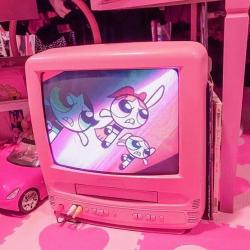 User Profile: rationalPlum4001