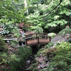 User Profile: sympatheticSpruce9743