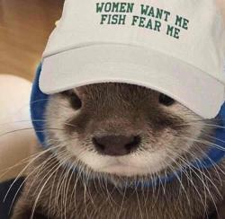 User Profile: Cjtheseal