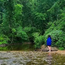 User Profile: wildwanderer