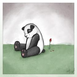 User Profile: NotRelaxedPanda