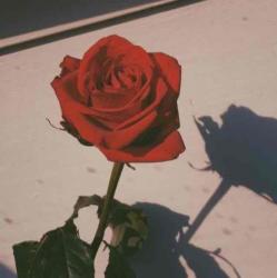 User Profile: charmingMoon89