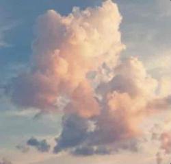 User Profile: compassionateBranch6881