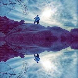 User Profile: MonkeyMind82