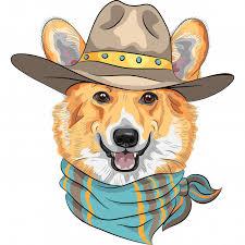 User Profile: CowboyCorgibop
