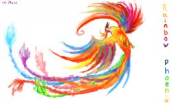 User Profile: Phoenix713