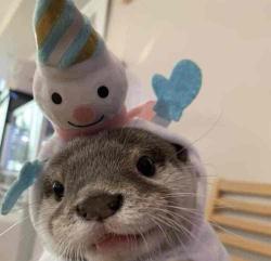 User Profile: KuroTheSwagger
