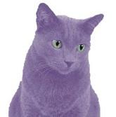 User Profile: LavenderCat65