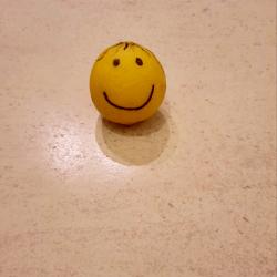 User Profile: agreeableLemon9754