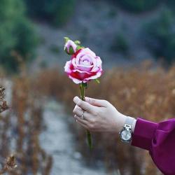 User Profile: TemporarySerenity