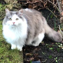 User Profile: conscientiousApricot8557