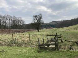 User Profile: yorkshirewalker1975