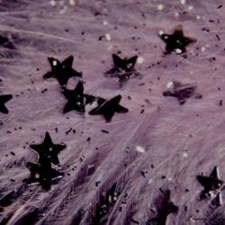 User Profile: Starhood271219