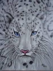 User Profile: snowcat930