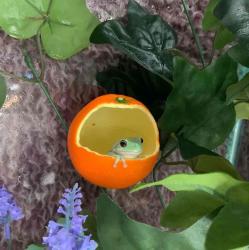 User Profile: Visionare785