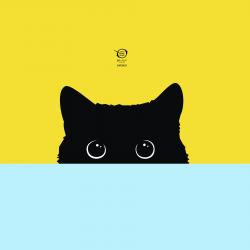 User Profile: NexxyCat