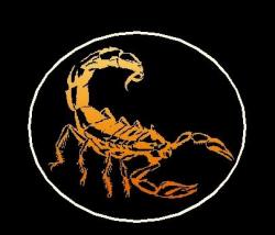 User Profile: Scorp666