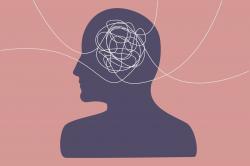 User Profile: OdiPS