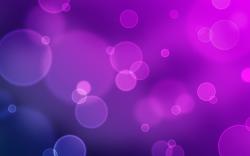 User Profile: Rose86