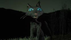 User Profile: mysteriouscat12