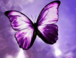 User Profile: PurpleButtetfly