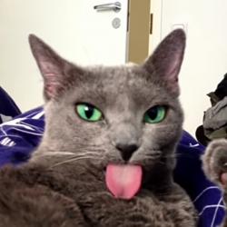 User Profile: justtryingtobehappy04