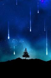 User Profile: FallenStarss