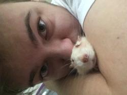 User Profile: JessScreams