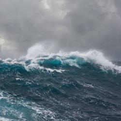User Profile: conscientiousWater7897