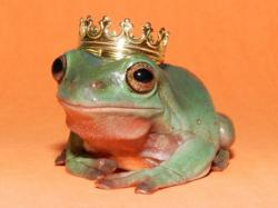User Profile: GoblinMaeron