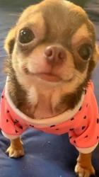 User Profile: daisieslavendar