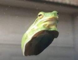 User Profile: KindaCheesy