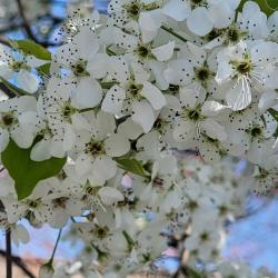 User Profile: FeedMeTacosNTellMeImPretty