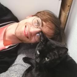 User Profile: davidibum