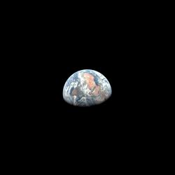 User Profile: avocadoocean