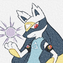 User Profile: shinylucariomasi