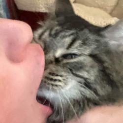 User Profile: catmandan
