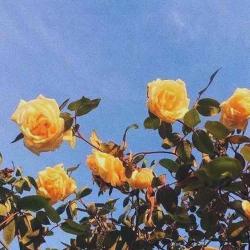 User Profile: Grey27