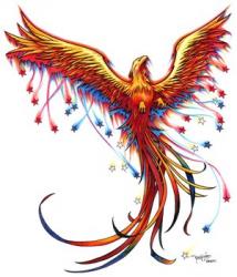 User Profile: PhoenixOfSorts