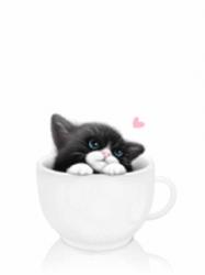 User Profile: BlackTea009
