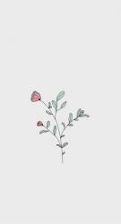 User Profile: Eli3664