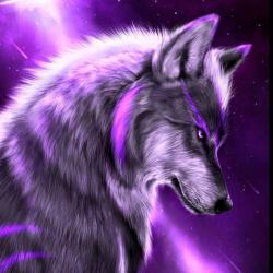 User Profile: dezi12